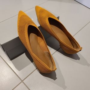 Everlane flats